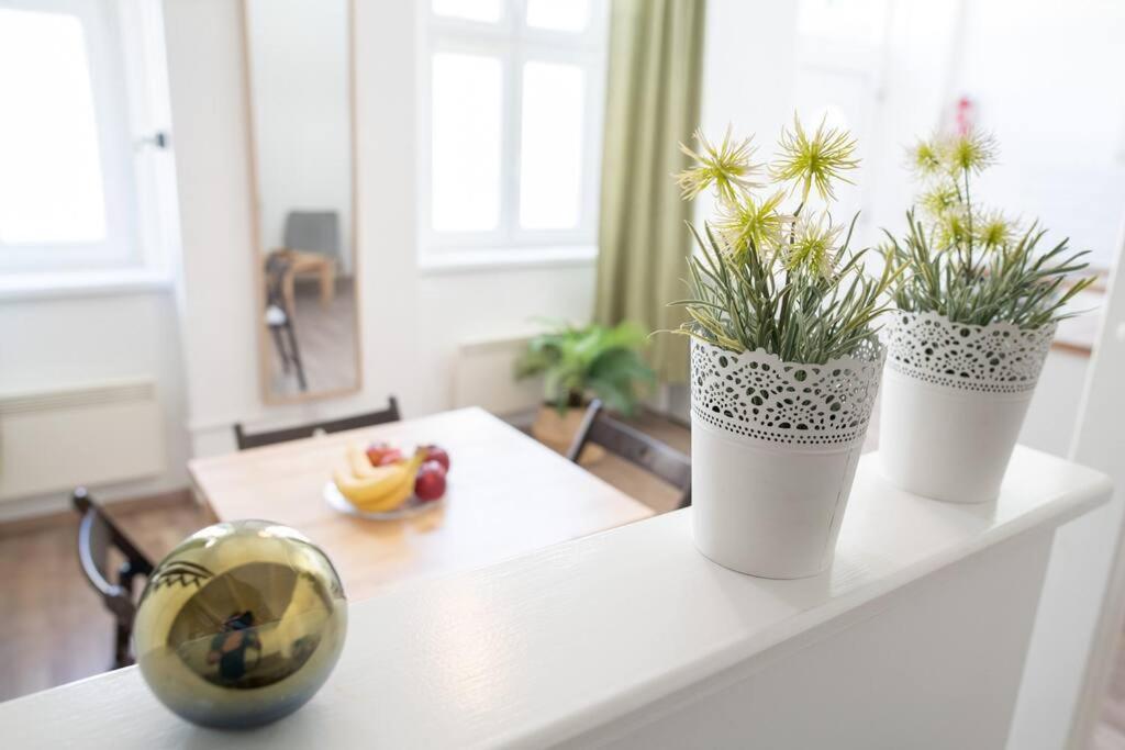 N28 Studio Next To Andrassy Boulevard. بودابست المظهر الخارجي الصورة